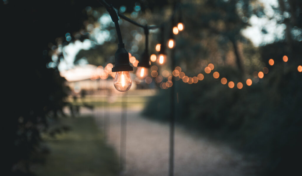 Garden Lights on Country Estate