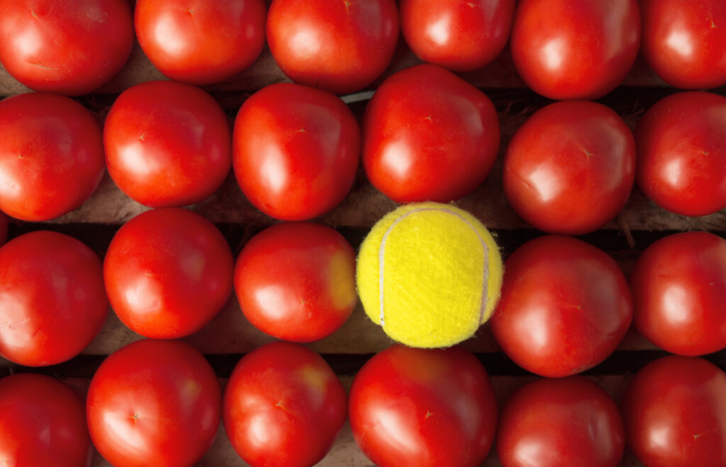 Red tomatoes and yellow tennis ball